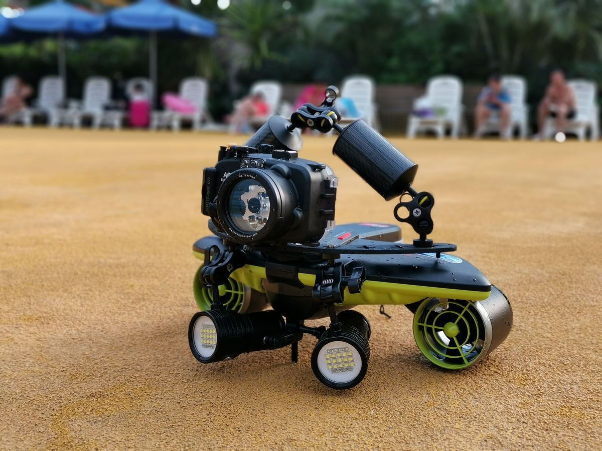 Dual Ball Butterfly Clip 14