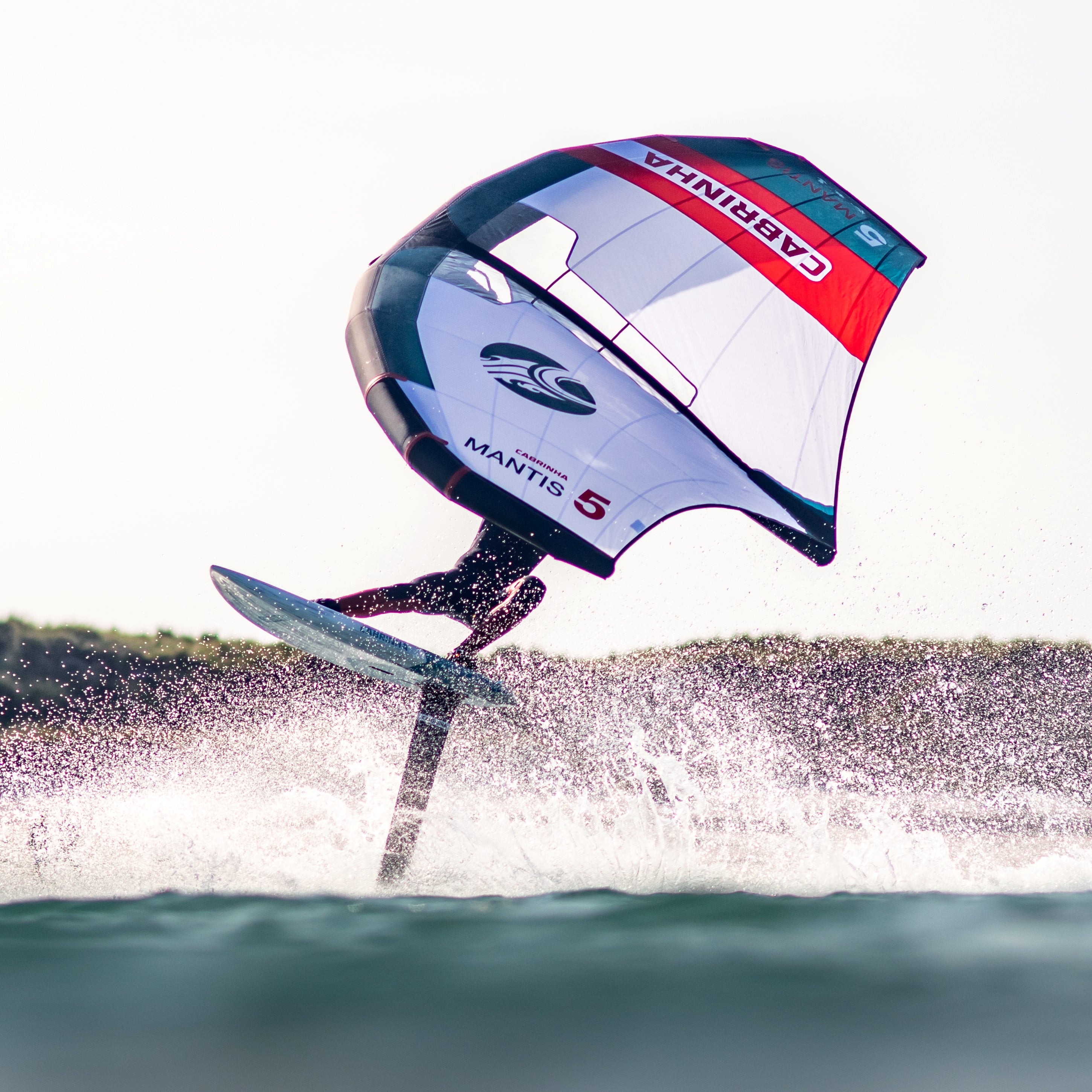 Wingfoil Package: Mantis V4, 04 Code, X1650/84cm Foil - Progression V
