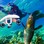 Mix Dual-Motor Underwater Scooter 3.4mph