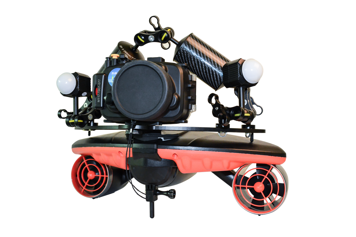 Dual Ball Butterfly Clip 18