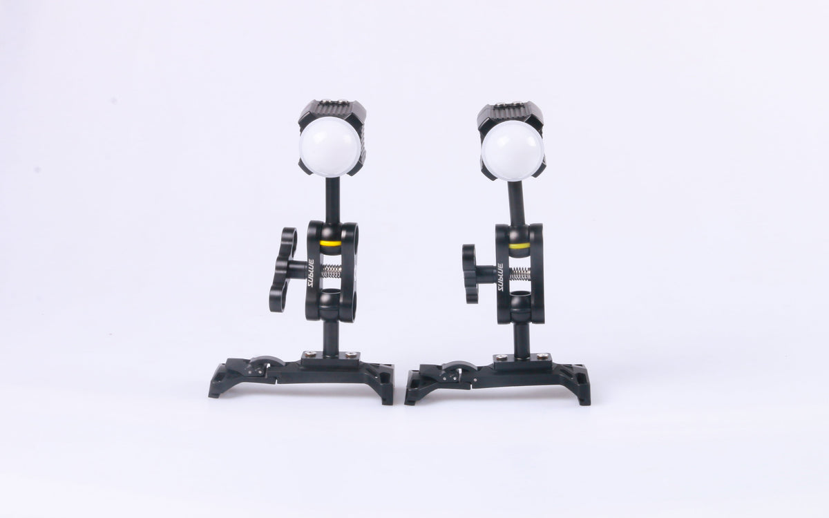 Dual Ball Butterfly Clip 26