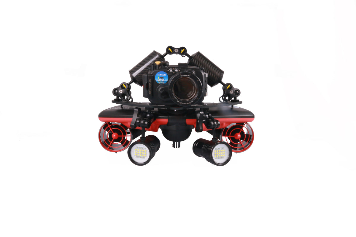 Dual Ball Butterfly Clip 32