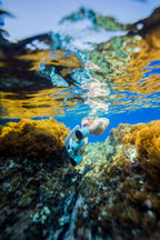 Mix Dual-Motor Underwater Scooter 3.4mph
