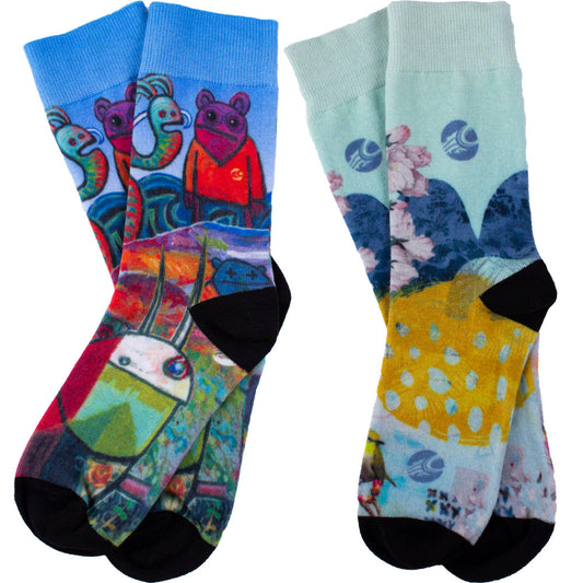 Cabrinha Artist Socks